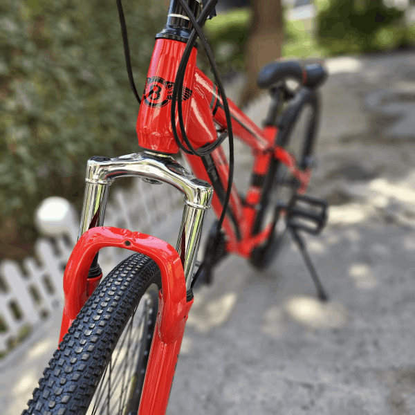 BestToys Հեծանիվներ Prof. bicycle N26 (metal)