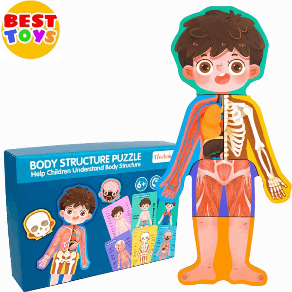 BestToys Զարգացնող և ինտելեկտուալ խաղեր We learn body parts