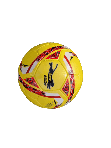 BestToys Ֆուտբոլի գնդակներ Soccer ball Puma