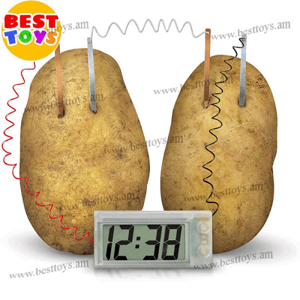 BestToys Գիտափորձեր Clock from potatoes