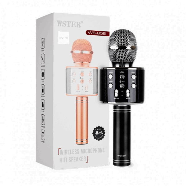 BestToys Microphones WS-858 Միկրոֆոն բարձ․ MP3