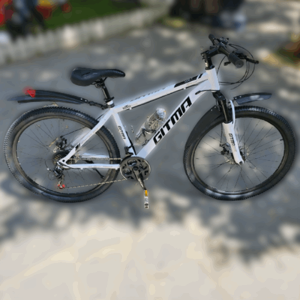 BestToys Հեծանիվներ Prof. bicycle N24