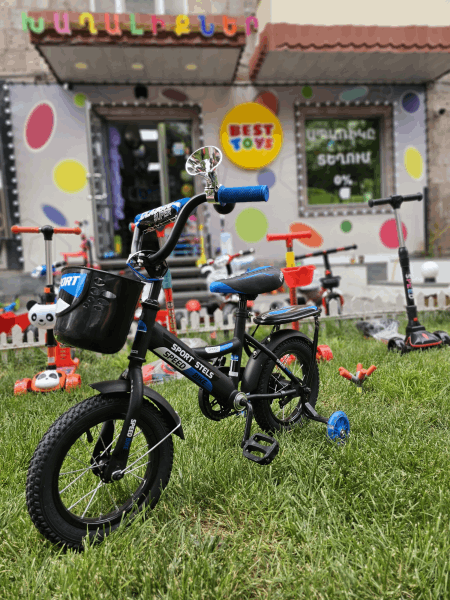 BestToys Հեծանիվներ Bicycle N12